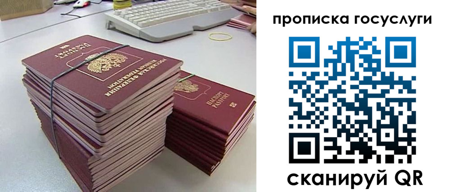 временная регистрация для школы в Фрязино